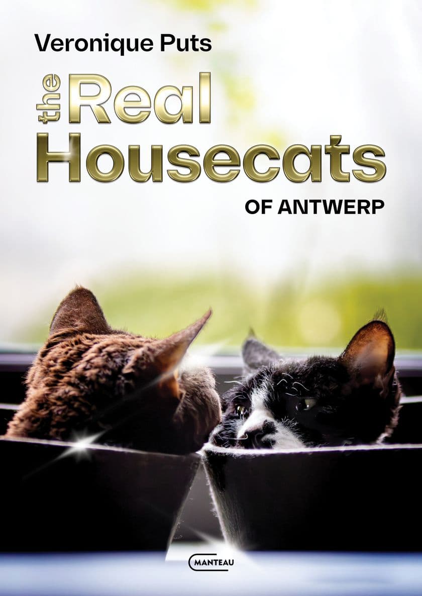 the real housecoats of antwerp