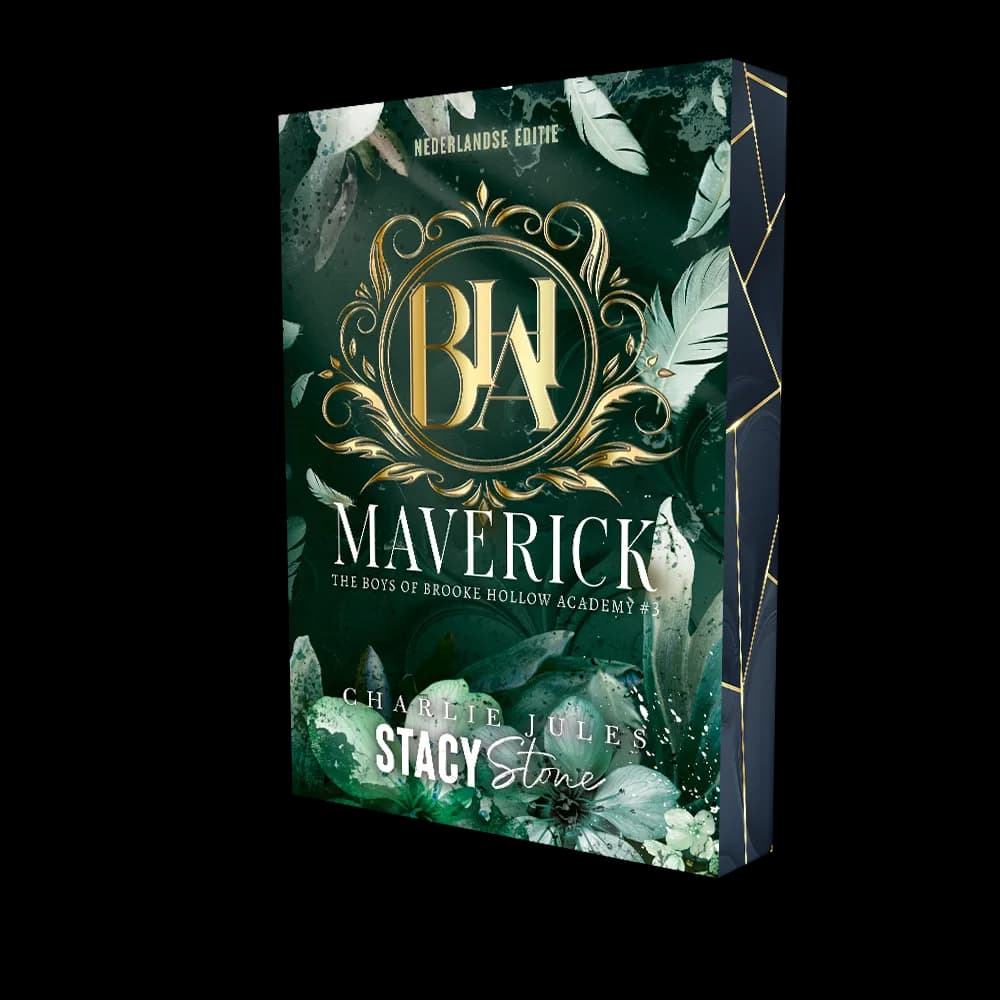 boek maverick stacy stone