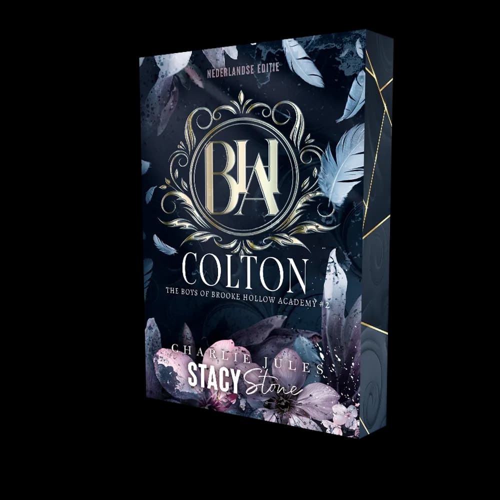 boek colton stacy stone