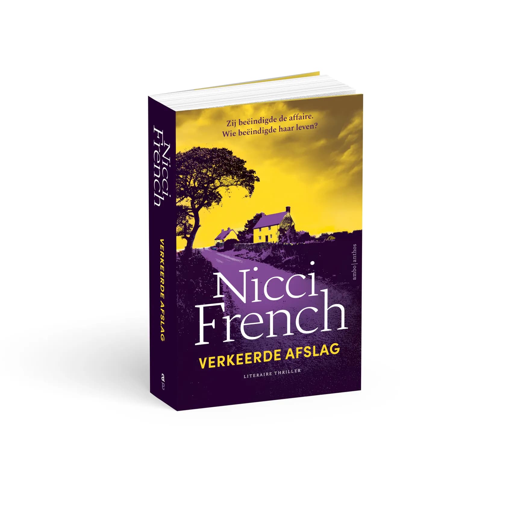 Nicci French_verkeerde afslag_3d_paperback